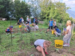 Schule Sonnenberge &raquo; Unser Schulgarten